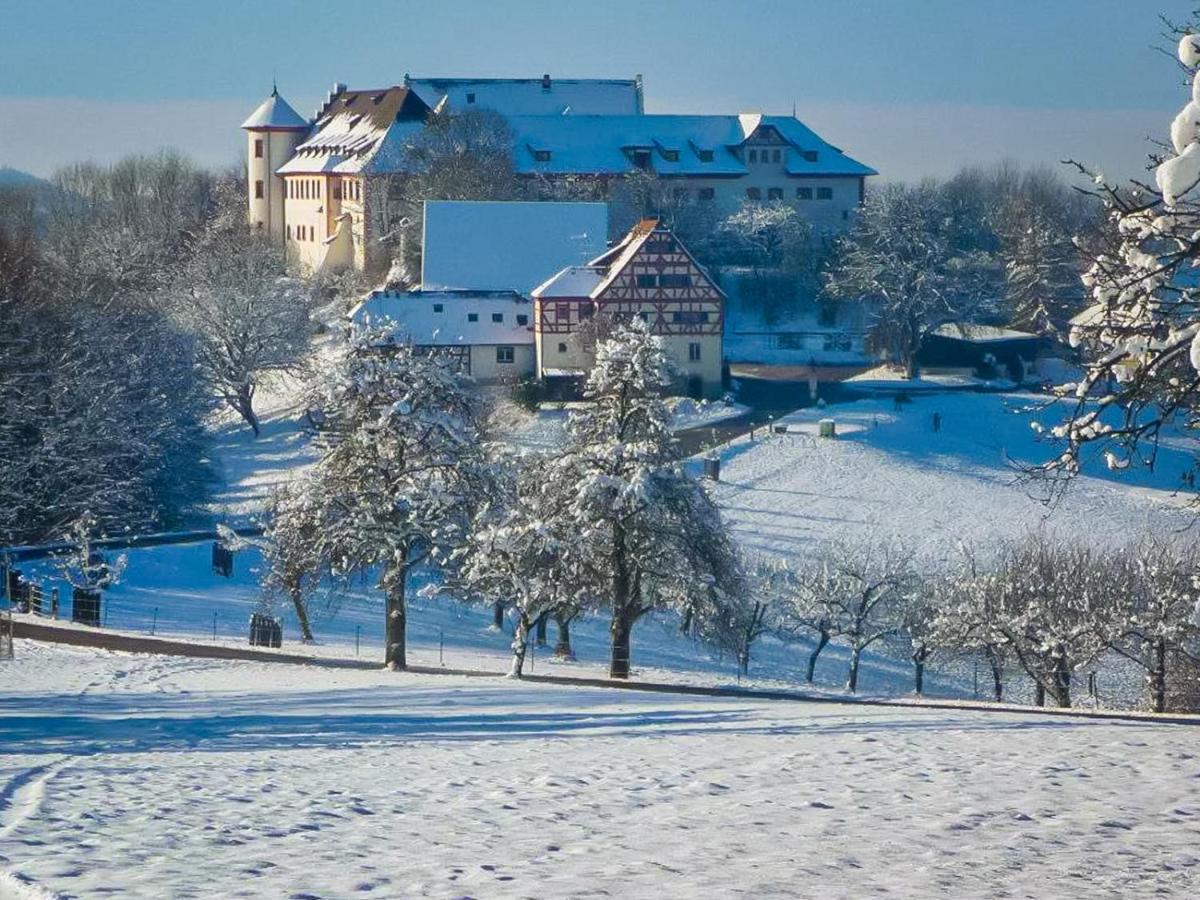 Hotel & Tagungszentrum Schloss Hohenfels Hohenfels  ภายนอก รูปภาพ