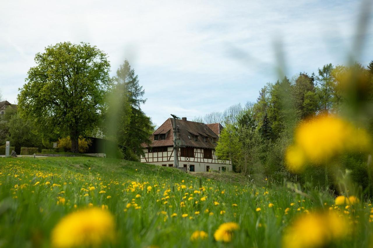 Hotel & Tagungszentrum Schloss Hohenfels Hohenfels  ภายนอก รูปภาพ