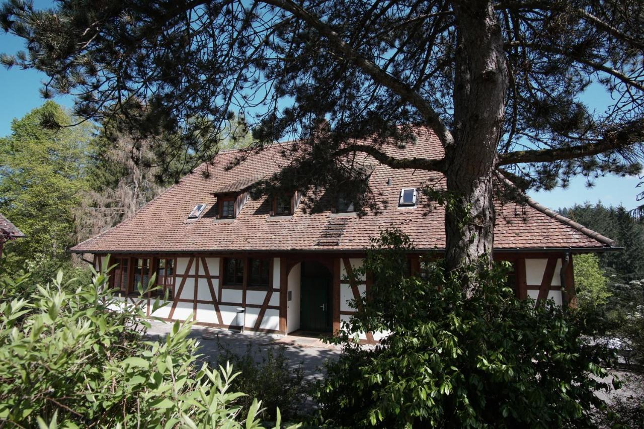 Hotel & Tagungszentrum Schloss Hohenfels Hohenfels  ภายนอก รูปภาพ