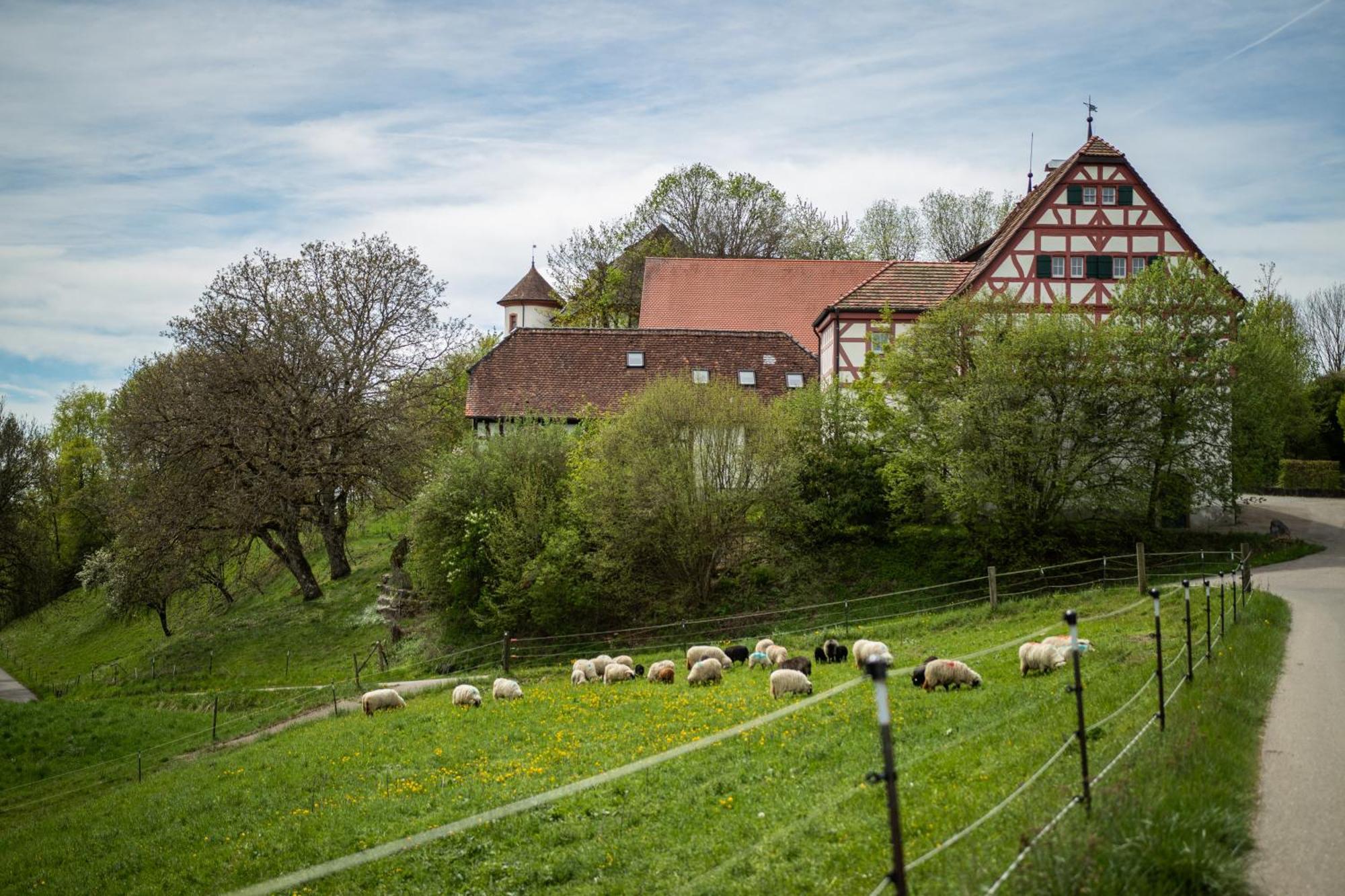 Hotel & Tagungszentrum Schloss Hohenfels Hohenfels  ภายนอก รูปภาพ